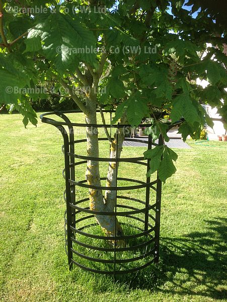 Tree Guards, Somerset and Devon